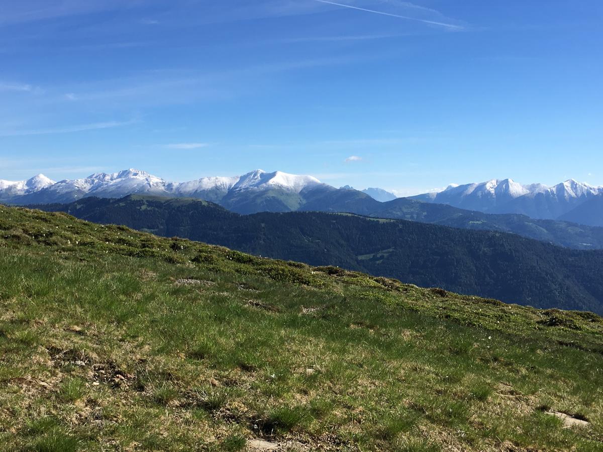Vesely Svist Chalet ラッハタール エクステリア 写真